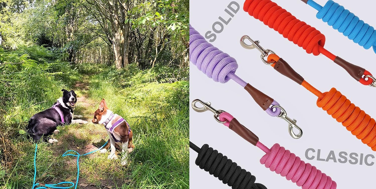 MayPaw solid and classic rope leashes on a forest walk